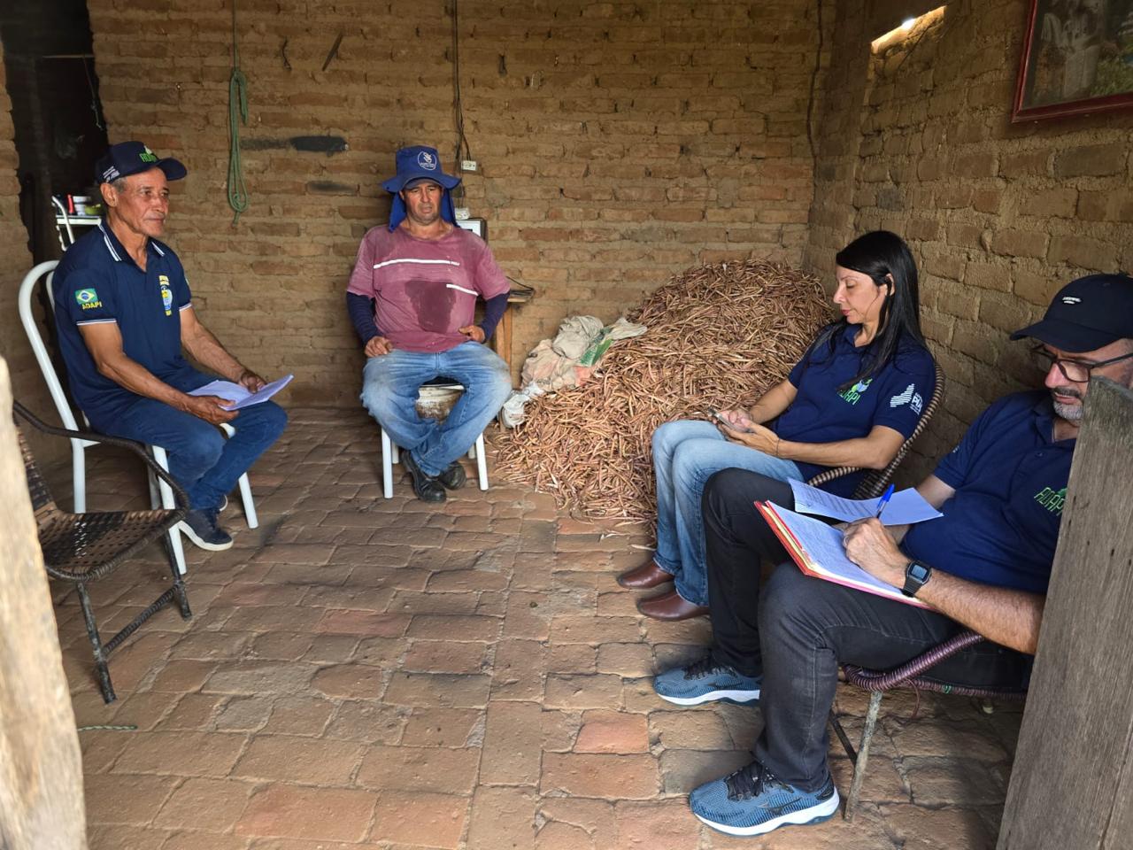 Piauí alcança 100% da meta inicial de vigilância clínica para peste suína clássica