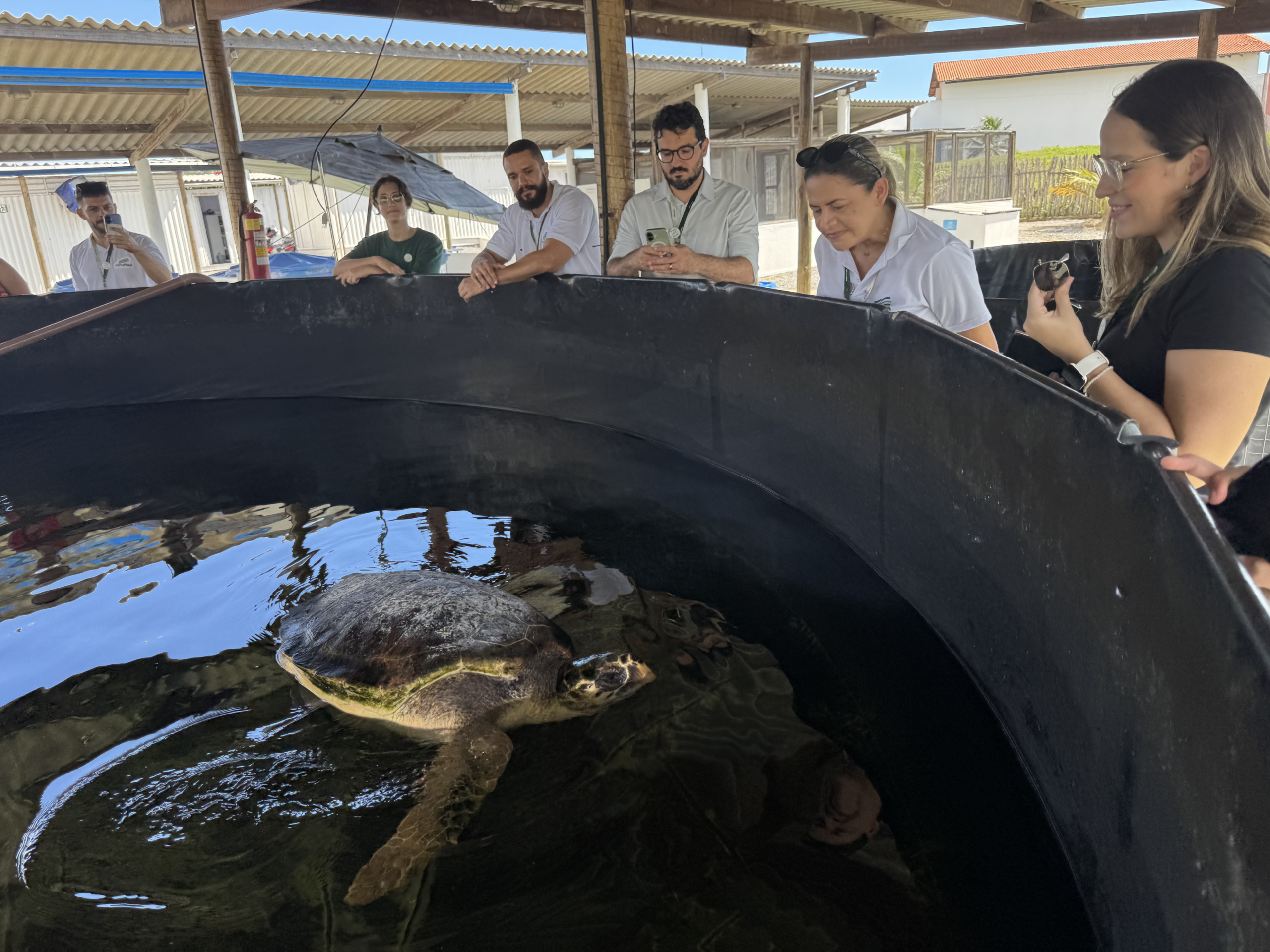 Porto Piauí realiza visita técnica ao Instituto Tartarugas do Delta durante Semana do Meio Ambiente