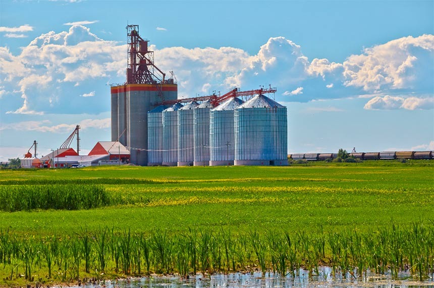 Credenciamento de armazéns agropecuários no sistema público agora é opcional