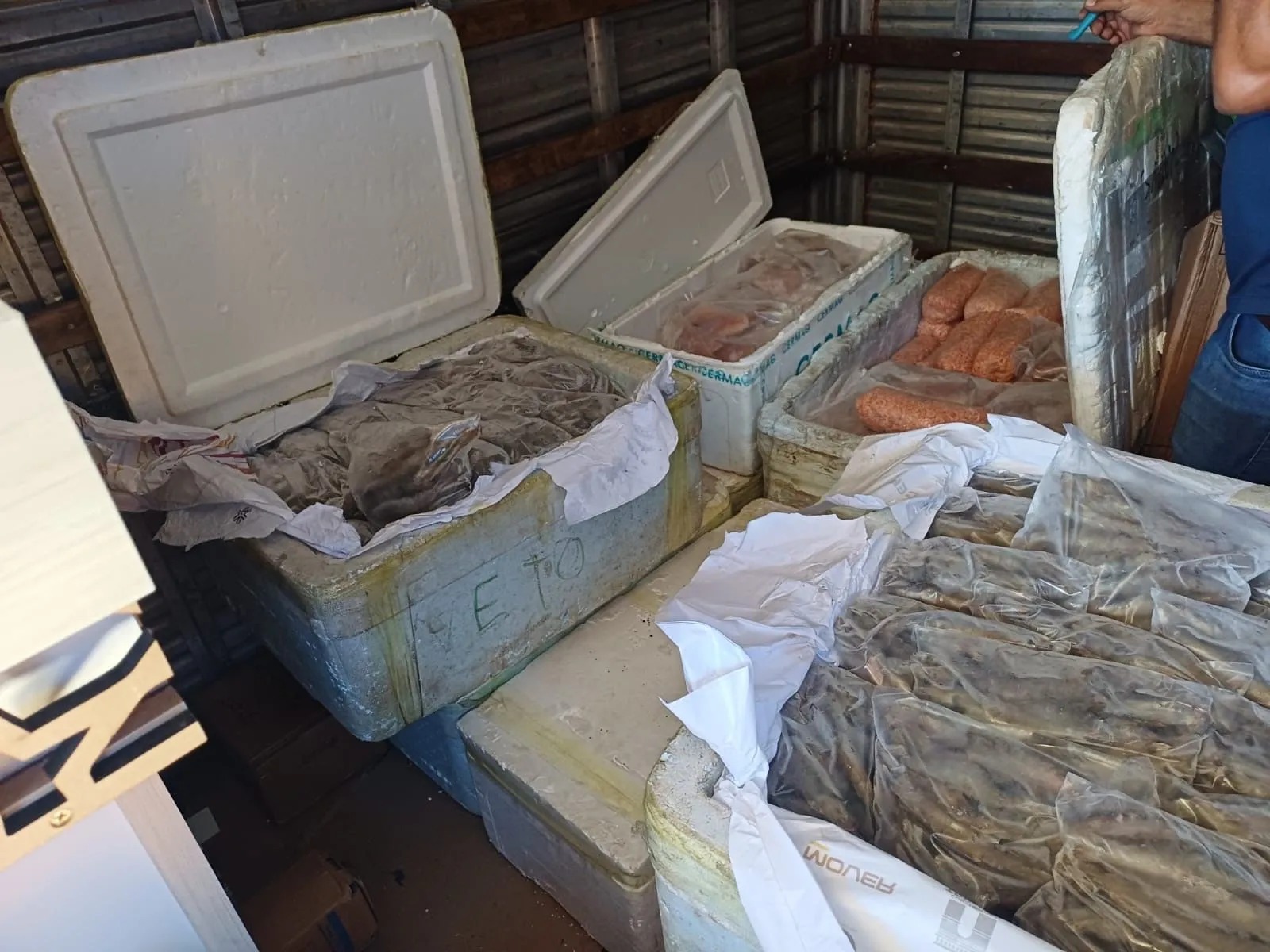 PRF apreende 650 kg de lula, camarão, peixe e queijo na BR-343 em Parnaíba