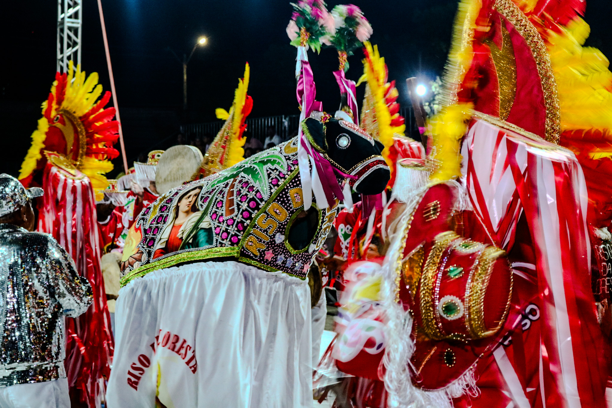 Festival de Bois do Piauí celebra tradição e cultura popular no Encontro Nacional de Folguedos na sexta (19)