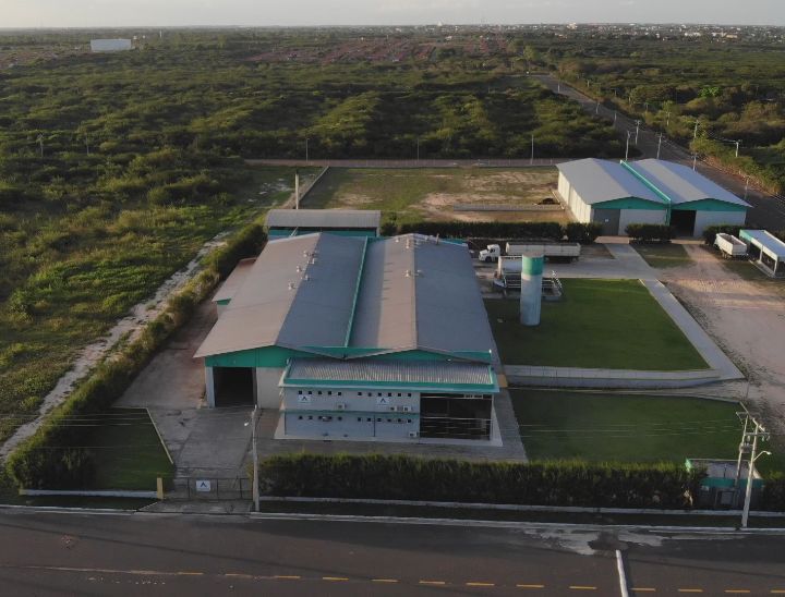 Empresa produtora de cera de carnaúba na ZPE-PI projeta crescimento de 50% em 2026