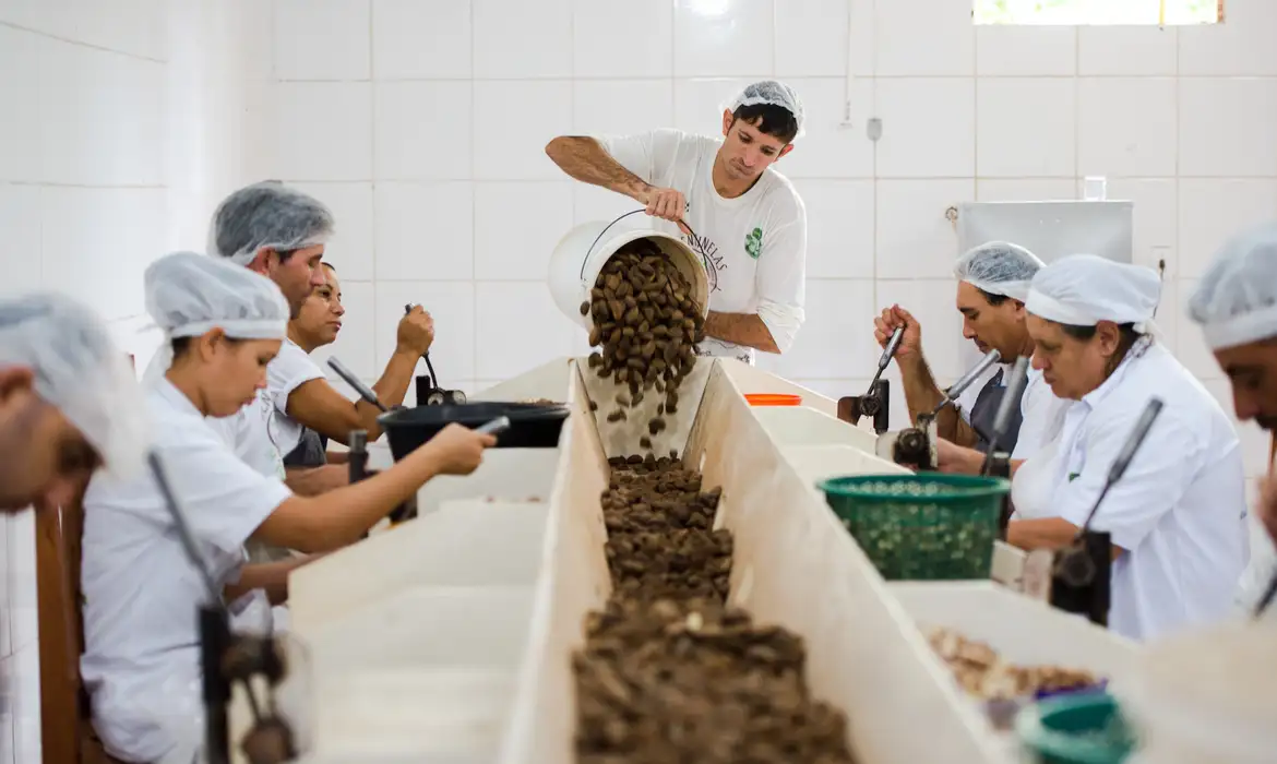 Nova lei reconhece cooperativismo como manifestação da cultura nacional