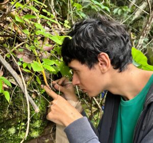 Alunos da Uespi de Campo Maior são selecionados para estágio em instituições de referência nacional nas áreas de botânica e entomologia